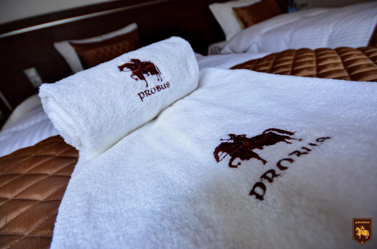 Ctkir Browar Probus Aparthotel Oława Εξωτερικό φωτογραφία